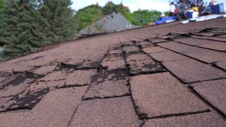 Best Emergency Roof Repair Services  in Belleville, WI