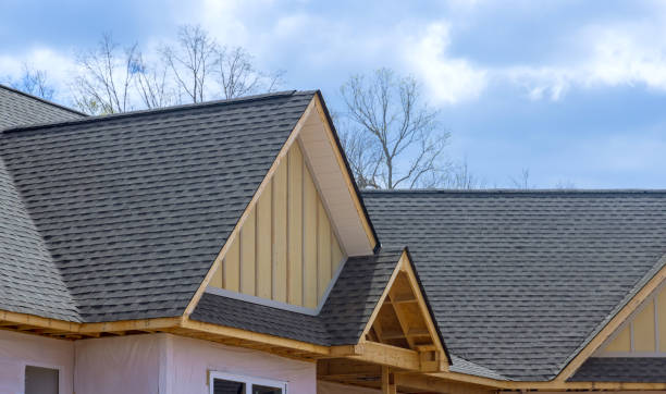 Best Roof Insulation Installation  in Belleville, WI