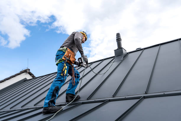 Best Roof Maintenance and Cleaning  in Belleville, WI