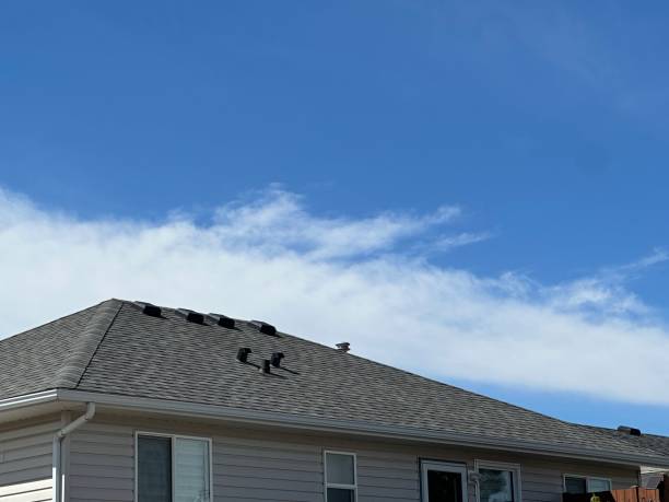 Best Chimney Flashing Repair  in Belleville, WI